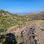 land for sale ineia paphos 1869562 thumbnail 6906633