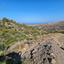 land for sale ineia paphos 1869562 thumbnail 6906634