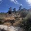 plot for sale monagroulli limassol 8705562 thumbnail 16537074