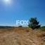plot for sale souni zanakia limassol 1341562 thumbnail 5565233
