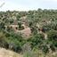 land for sale avdimou limassol 8785662 thumbnail 16656144