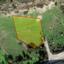 land for sale agios tychonas limassol 8228762 thumbnail 13785653