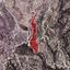 land for sale choirokoitia larnaca 1329762 thumbnail 9341740
