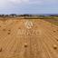 land for sale livadia larnacas larnaca 8675762 thumbnail 17168292