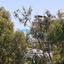 3 bedroom apartment for sale germasogeia limassol 912862 thumbnail 5401892