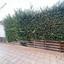 4 bedroom detached house for sale agia varvara paphos 8645862 thumbnail 15942888