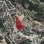 land for sale omodos limassol 983862 thumbnail 15865060