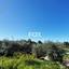 land for sale poli chrysochous paphos 1158862 thumbnail 5507528