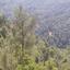 land for sale kampia nicosia 945962 thumbnail 7621476