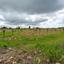 land for sale kathikas paphos 8542962 thumbnail 16305589