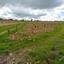 land for sale kathikas paphos 8542962 thumbnail 16305591