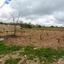 land for sale kathikas paphos 8542962 thumbnail 16305592