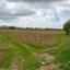 land for sale kathikas paphos 8542962 thumbnail 16305593