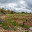 land for sale kathikas paphos 8542962 thumbnail 16305596