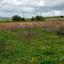 land for sale kathikas paphos 8542962 thumbnail 16305597