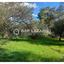 land for sale lythrodontas nicosia 8042962 thumbnail 17229785