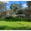 land for sale lythrodontas nicosia 8042962 thumbnail 17229787