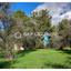 land for sale lythrodontas nicosia 8042962 thumbnail 17229791