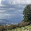 land for sale peristerona pafou paphos 8004962 thumbnail 12789369