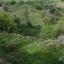 land for sale pentalia paphos 8659072 thumbnail 16278026