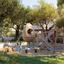 4 bedroom detached house for sale dekeleia larnaca 8312172 thumbnail 14163040