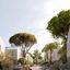4 bedroom detached house for sale dekeleia larnaca 8312172 thumbnail 14163044