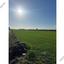 land for sale kiti larnaca 1256172 thumbnail 18396259