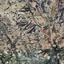land for sale letymvou paphos 8395172 thumbnail 15620252
