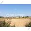 land for sale mazotos larnaca 1688172 thumbnail 14152373