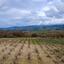 land for sale stroumbi paphos 1648172 thumbnail 16009391