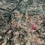 land for sale theletra paphos 8532172 thumbnail 16306407