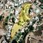 plot for sale kouklia pafou paphos 1774172 thumbnail 5809051