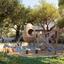 4 bedroom detached house for sale dekeleia larnaca 7736272 thumbnail 11339876