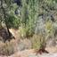 land for sale palaiomylos limassol 8926272 thumbnail 17614420