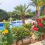 3 bedroom detached house for sale peyia paphos 7812372 thumbnail 10639542