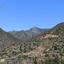 land for sale arakapas limassol 8629372 thumbnail 15867750