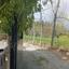 land for sale pachna limassol 1437372 thumbnail 15600391