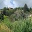 land for sale pachna limassol 1437372 thumbnail 15600392