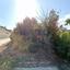 658 SQM Plot for sale in Foinikaria, Limassol thumbnail 13609495