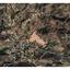land for sale lageia larnaca 1676472 thumbnail 6022153