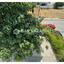 3 bedroom detached house for rent geri nicosia 1581572 thumbnail 5429359