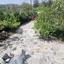 3 bedroom detached house for sale pano platres limassol 8274572 thumbnail 17889415