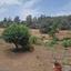 4 bedroom detached house for sale alethriko larnaca 8693572 thumbnail 16254008
