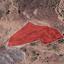 land for sale choletria paphos 944572 thumbnail 15599342