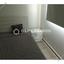 1 bedroom apartment for rent aglantzia nicosia 1581672 thumbnail 16333817