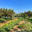 3 bedroom detached house for sale maroni larnaca 1464672 thumbnail 10505900