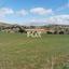 land for sale pissouri limassol 1146672 thumbnail 5494890