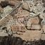 4406 SQM Plot for sale in Alaminos, Larnaca thumbnail 15857049