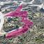 land for sale kato pyrgos nicosia 8629772 thumbnail 15869850