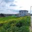 plot for sale dali nicosia 1162772 thumbnail 5432744